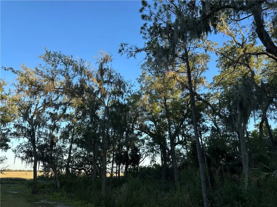 D Cassique Creek Drive, Ridgeland, SC 29936 - Image #2