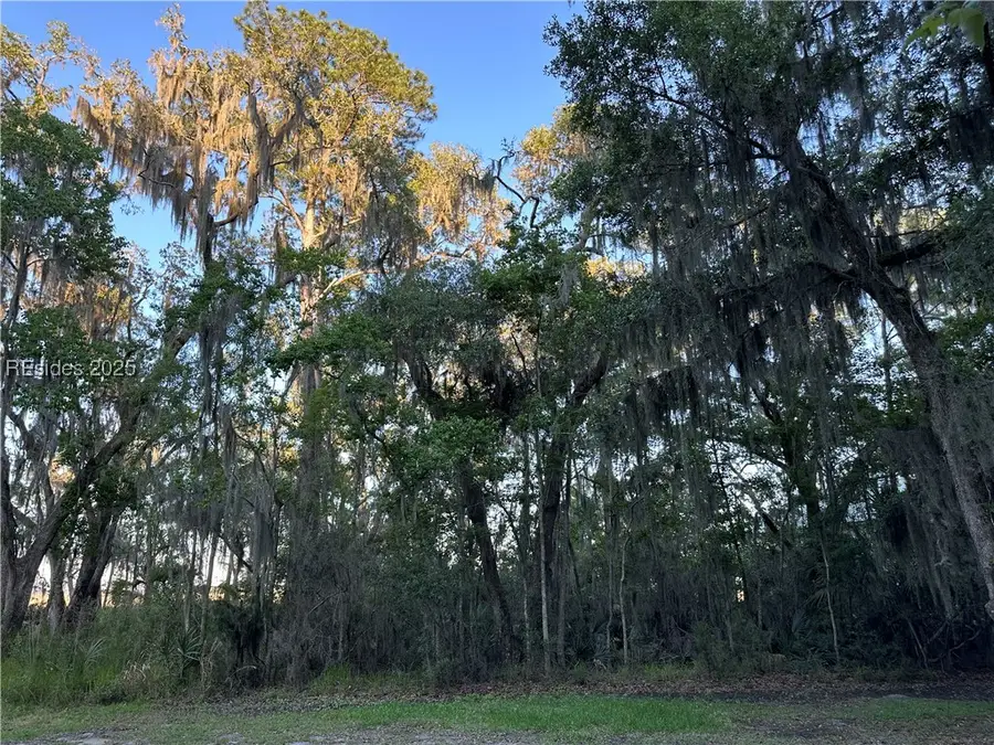 D Cassique Creek Drive, Ridgeland, SC 29936 - Image #3