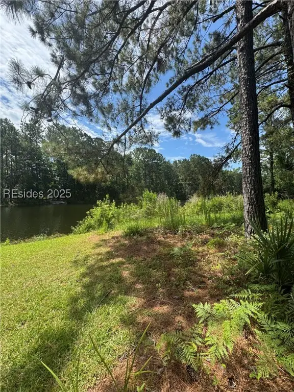28 Ferebee Court, Bluffton, SC 29910 - #2