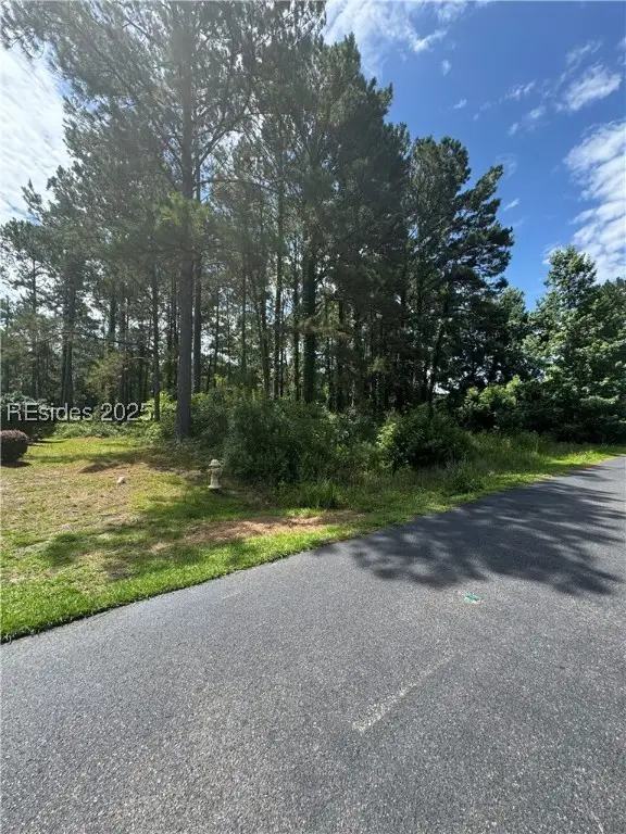 28 Ferebee Court, Bluffton, SC 29910 - #3