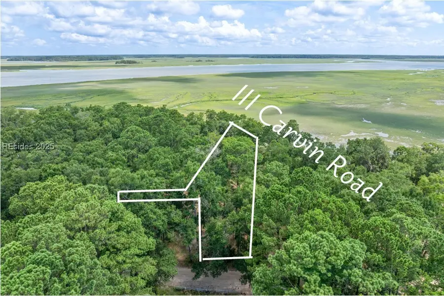 111 Carvin Road, Daufuskie Island, SC 29915 - Image #3