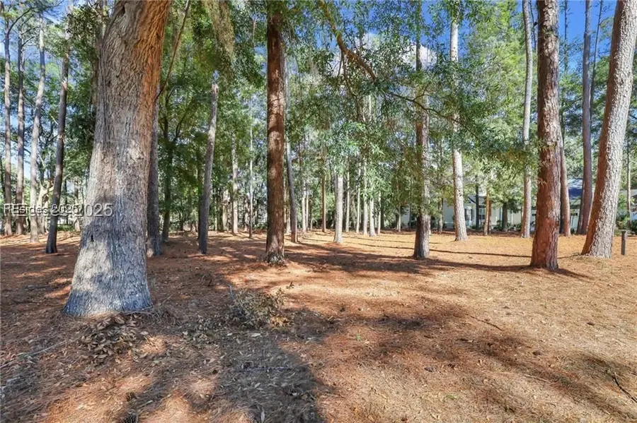 117 Summerton Drive, Bluffton, SC 29910 - #2