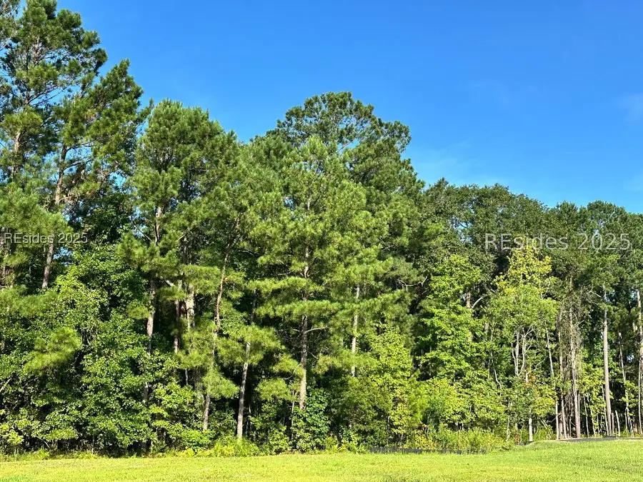 Lot5A Okatie North Highway, Ridgeland, SC 29936 - #3