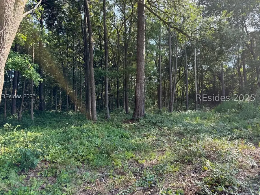 23 Joe Frazier Road, Beaufort, SC 29906 - #3