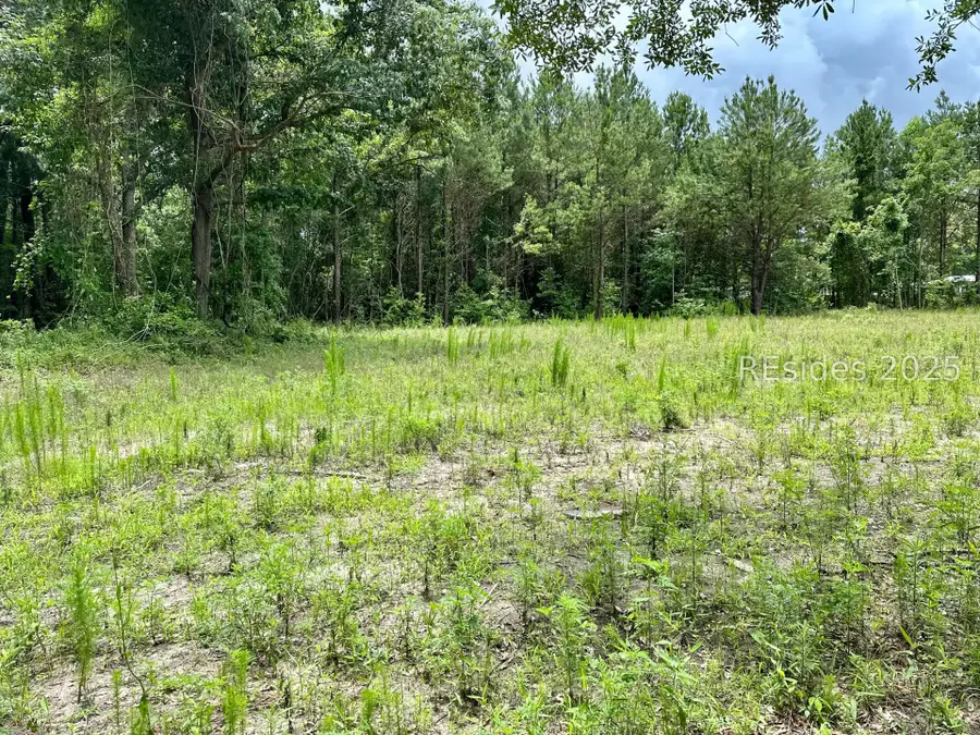 59 Seabrook Center Road, Seabrook, SC 29940 - #3