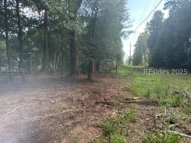 9 Horton Trail, Beaufort, SC 29906 - #3