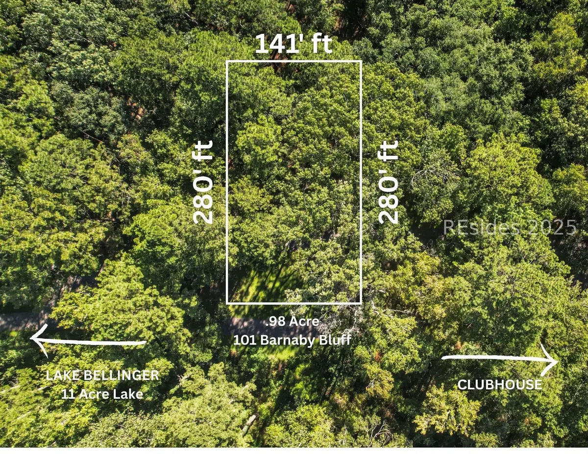 101 Barnaby Bluff, Seabrook, SC 29940 - #1
