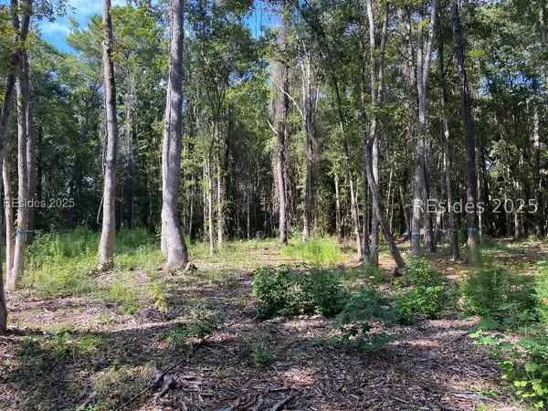 51 Mary Smalls Road, St Helena Island, SC 29920