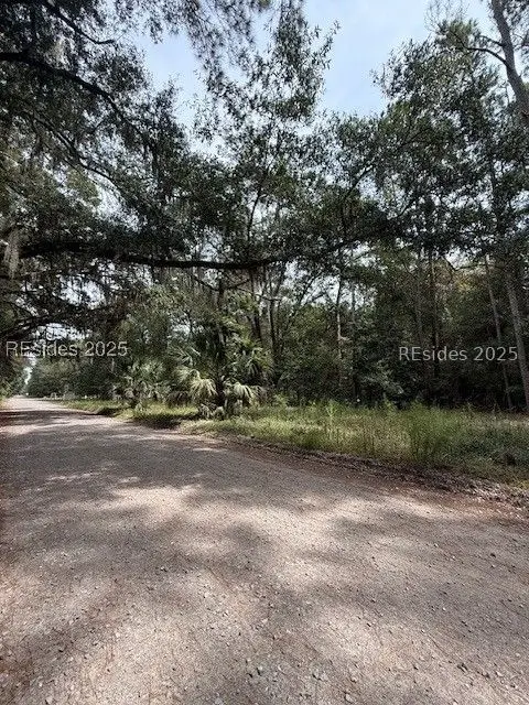 112 School Road, Daufuskie Island, SC 29915 - Image #1