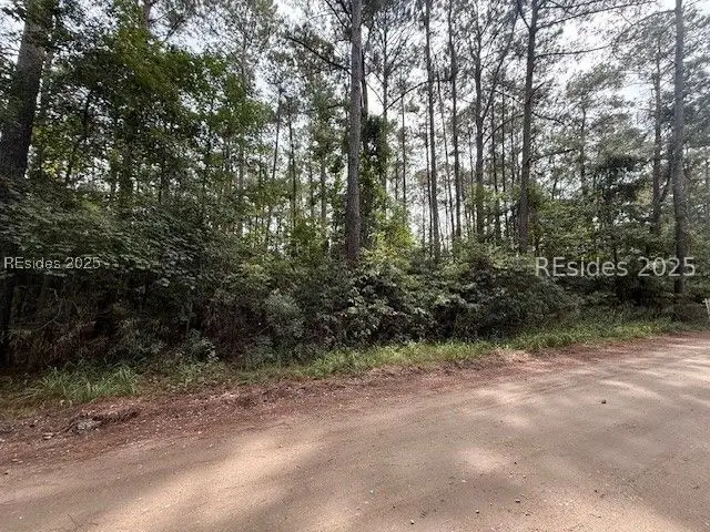 284 School Road, Daufuskie Island, SC 29915 - Image #3
