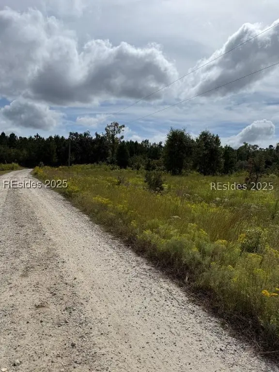 115 Bartons Trail, Early Branch, SC 29916 - #2