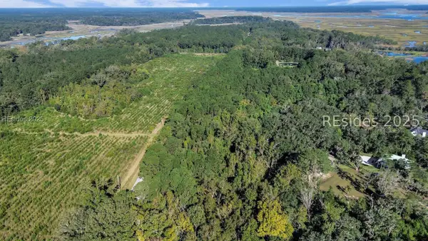 Parcel AA Knowles Island Rd, Ridgeland, SC 29936