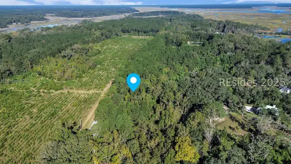 Parcel AB Knowles Island Rd, Ridgeland, SC 29936