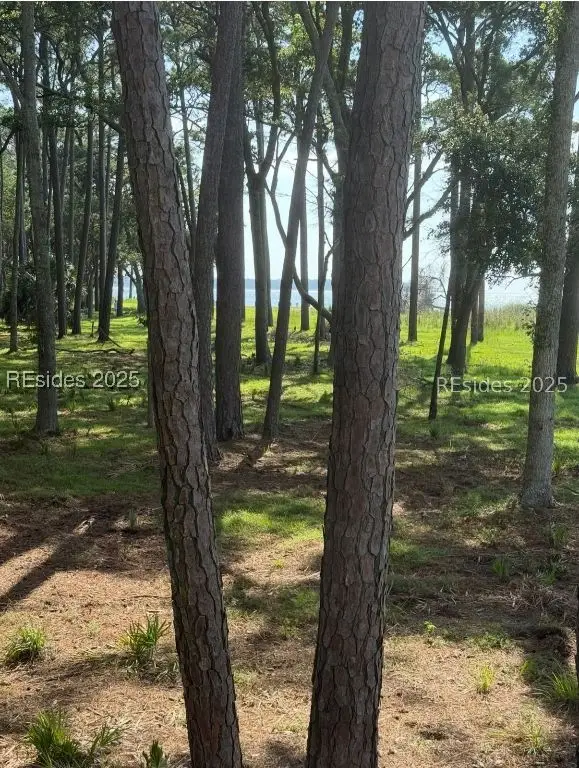 87 Martinangel Lane, Daufuskie Island, SC 29915
