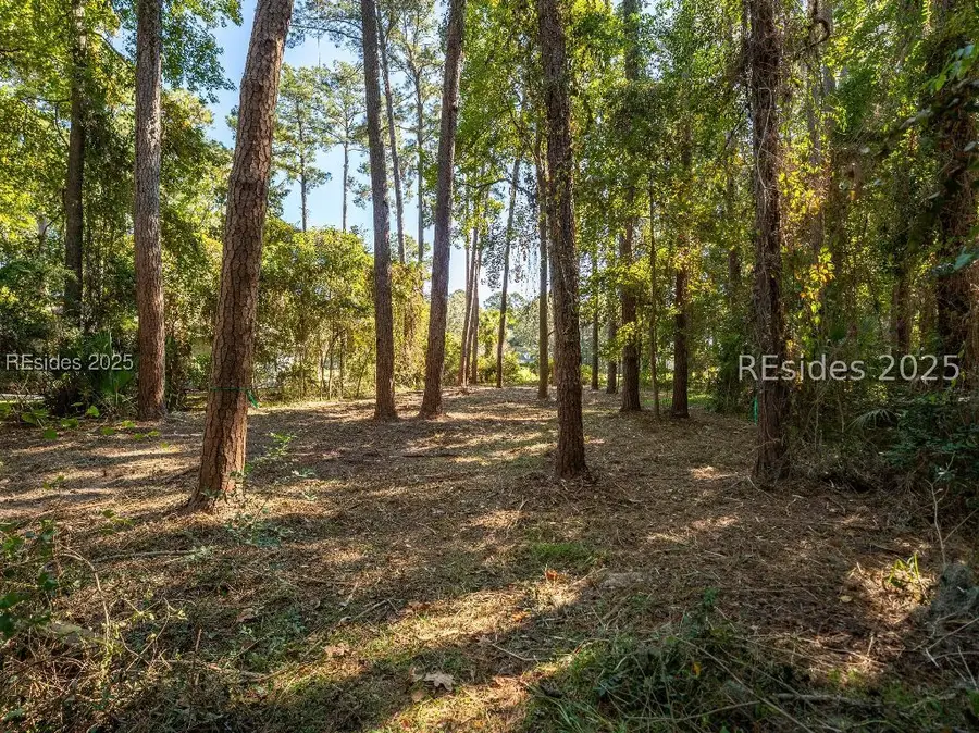 51 Winding Oak Drive, Okatie, SC 29909 - #3