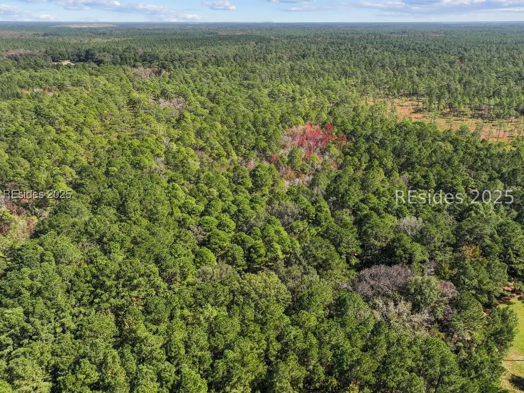 5156 Jasper Station Road, Ridgeland, SC 29936 - Image #1