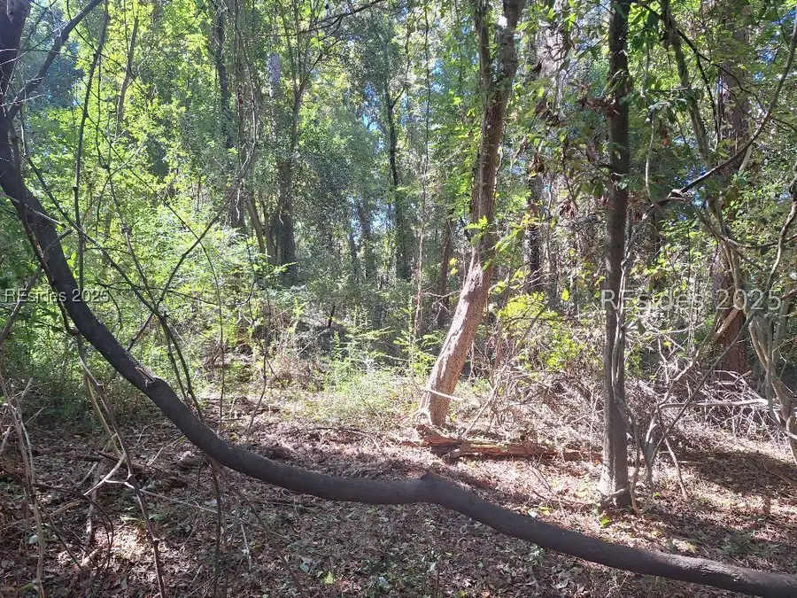 2359 Broughton Street, Orangeburg, SC 29115 - Image #3