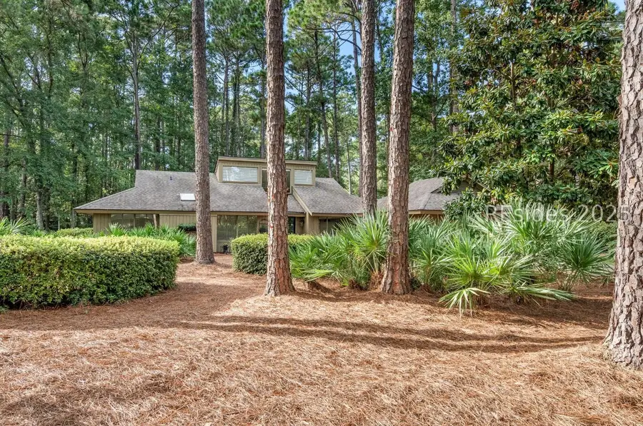 4 Brown Thrasher Road, Hilton Head Island, SC 29926 - #3