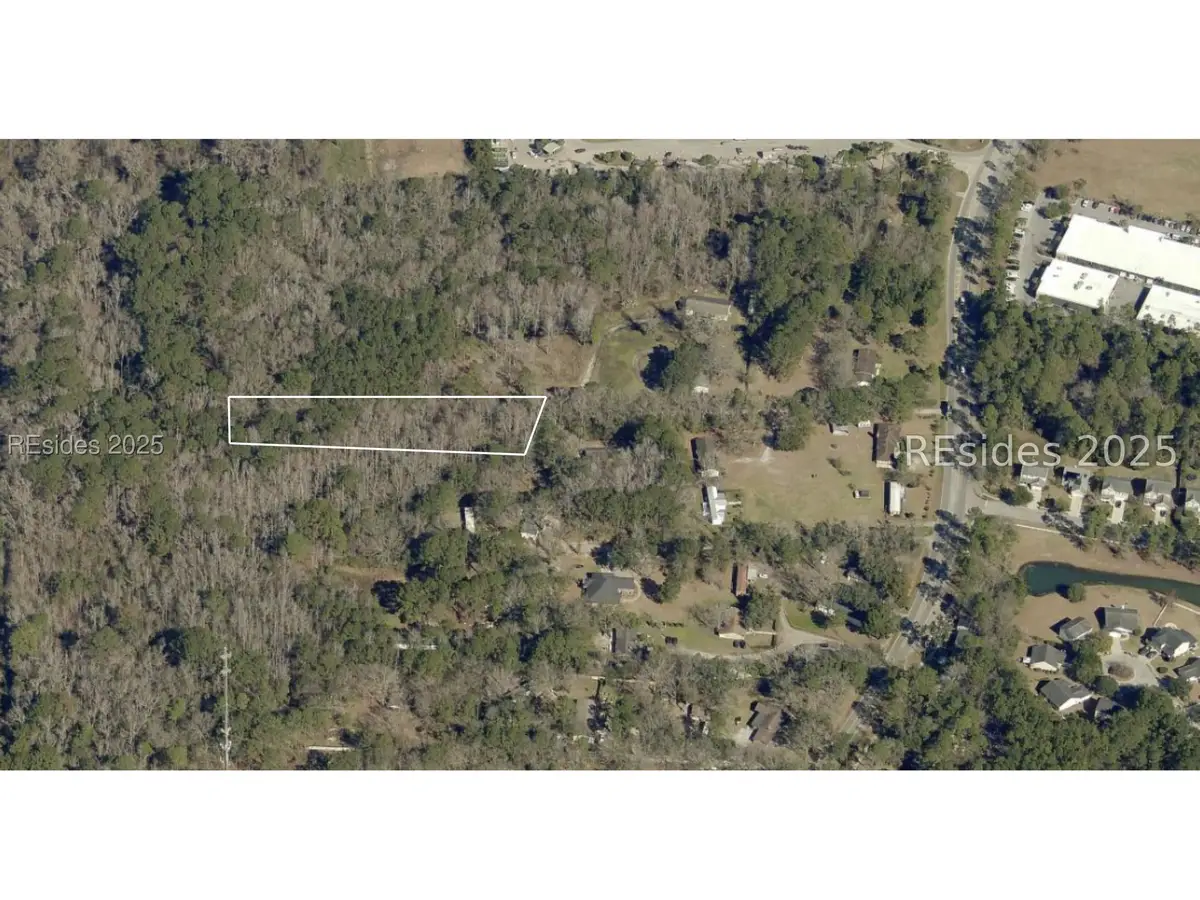 0 Simmonsville Road, Bluffton, SC 29910 - Image #1