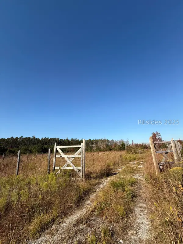 51 Willys Way, Early Branch, SC 29916