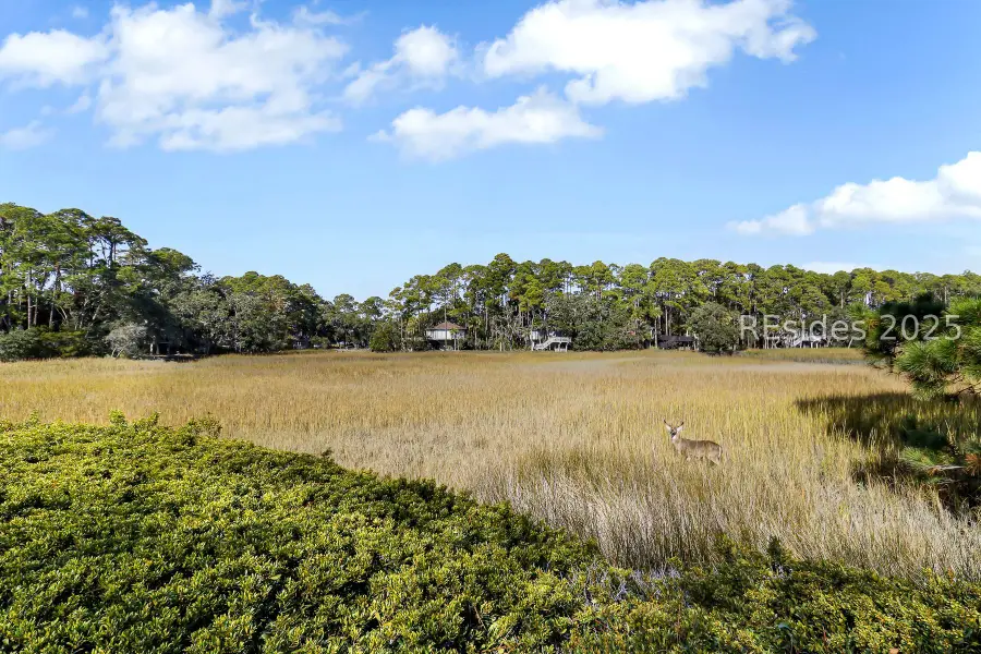 1 Stoney Creek Road #265, Hilton Head Island, SC 29928 - Image #2