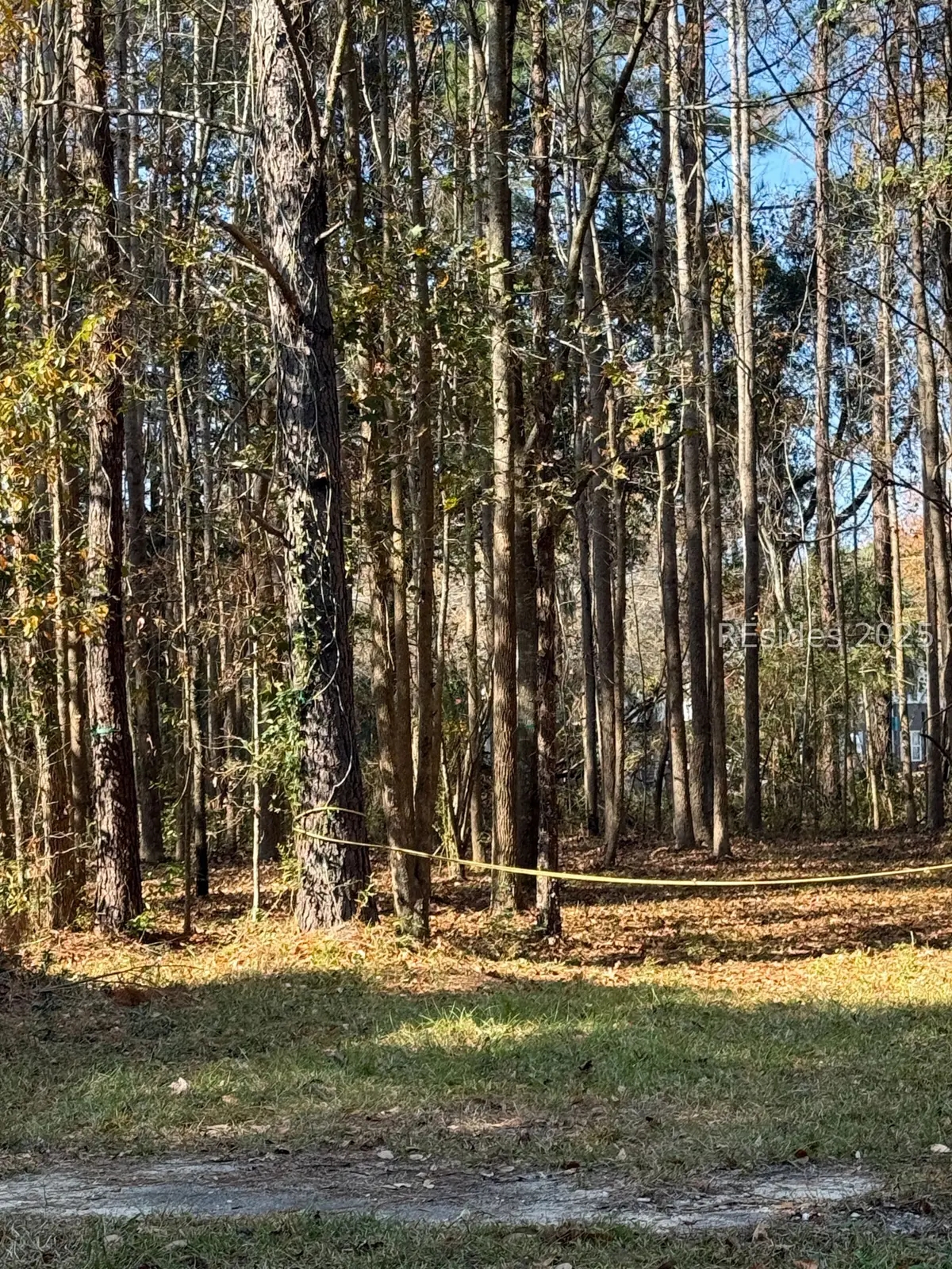 6964 Tillman Road, Ridgeland, SC 29936 - #1