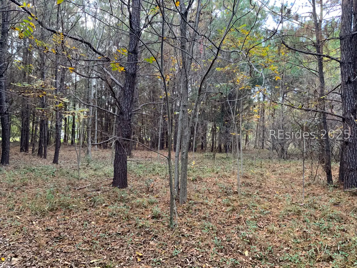 TBD Pearl Harbor Drive, Saint Helena Island, SC 29920 - Image #1
