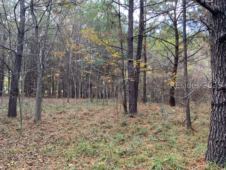 TBD Pearl Harbor Drive, Saint Helena Island, SC 29920 - Image #3