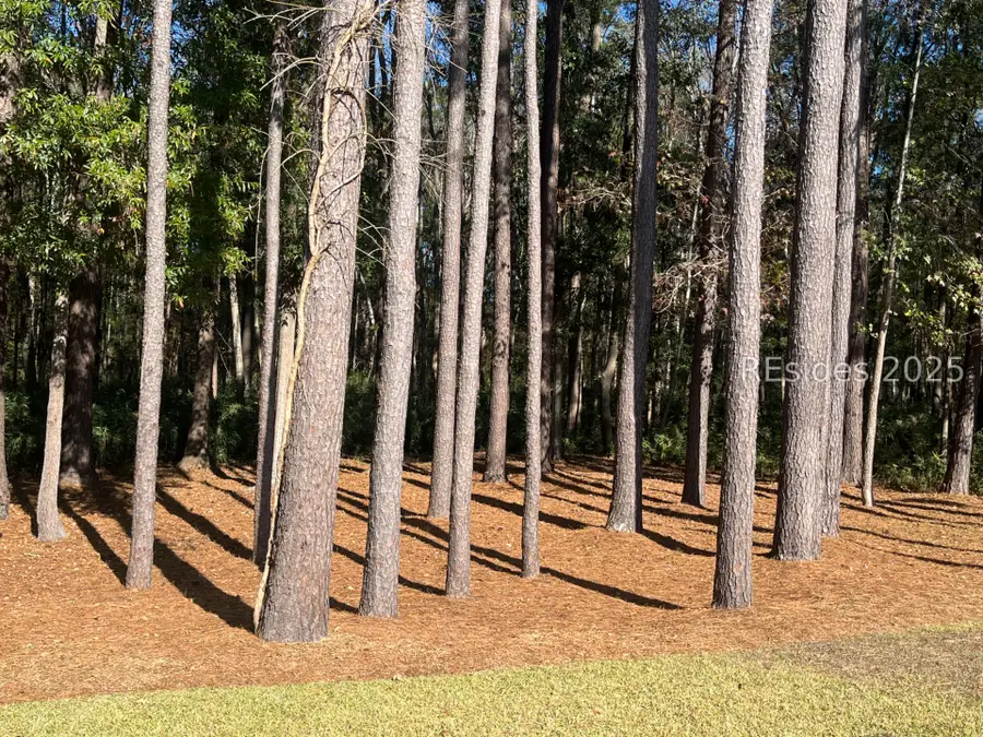 112 Cypress Hollow, Bluffton, SC 29909 - #3
