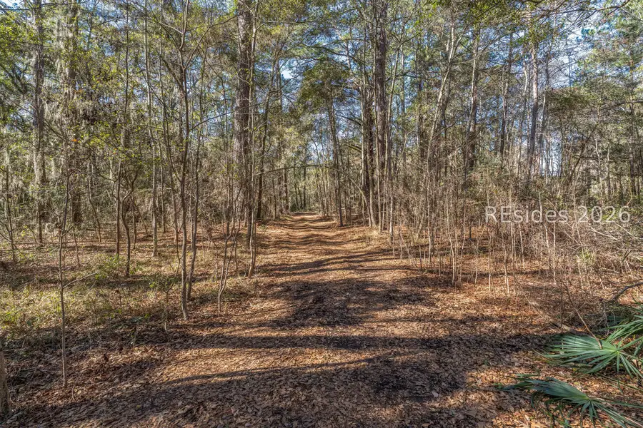 275 Spring Island Drive, Okatie, SC 29909 - #2