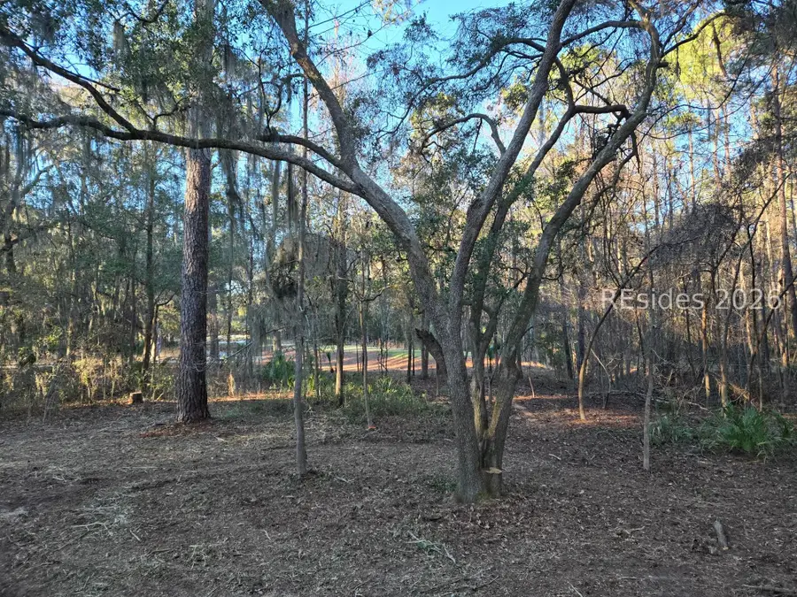 275 Spring Island Drive, Okatie, SC 29909 - #3