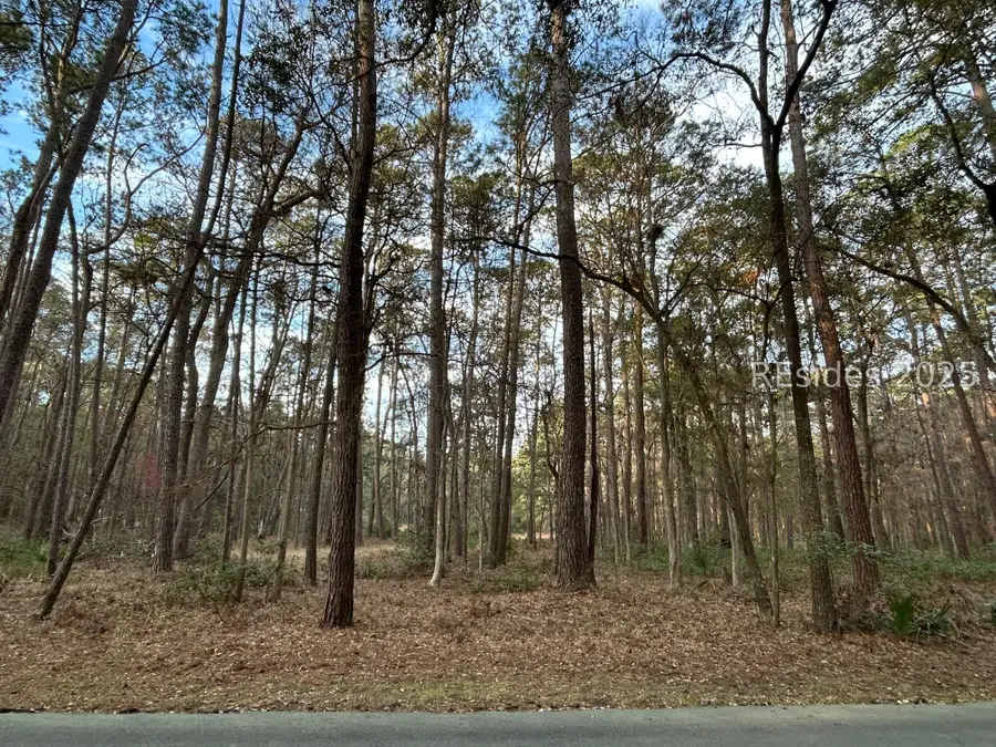 11 Money Mongin Lane, Daufuskie Island, SC 29915 - Image #2