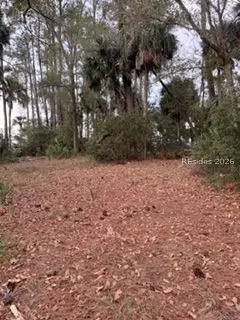 10 Palmetto Point Drive, Bluffton, SC 29910 - Image #3