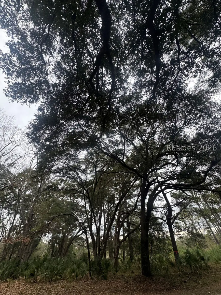 74 Fuskie Lane, Daufuskie Island, SC 29915 - Image #3