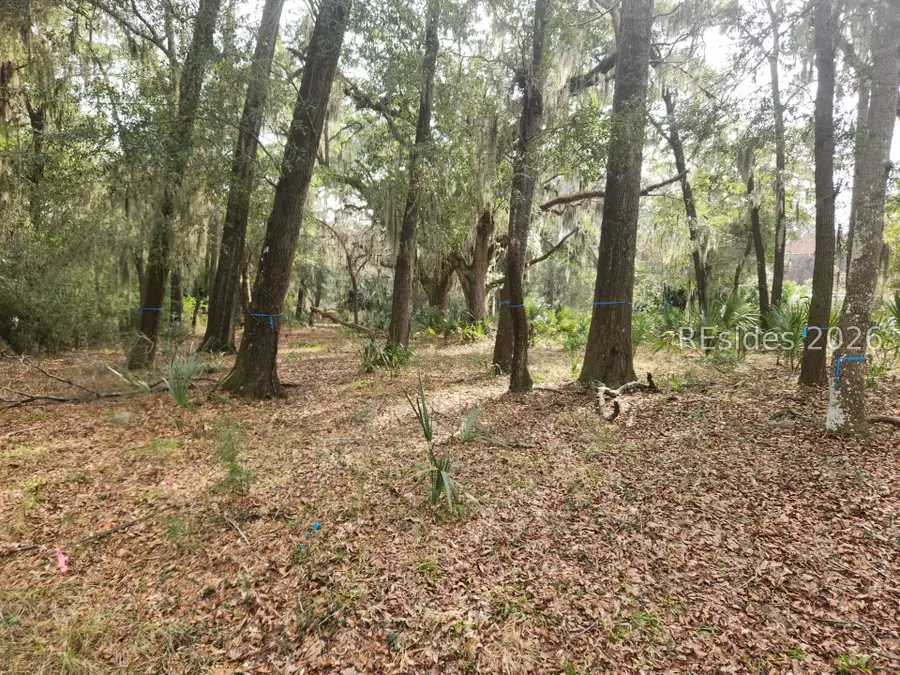 2 Cordgrass Loop, Beaufort, SC 29907 - Image #2