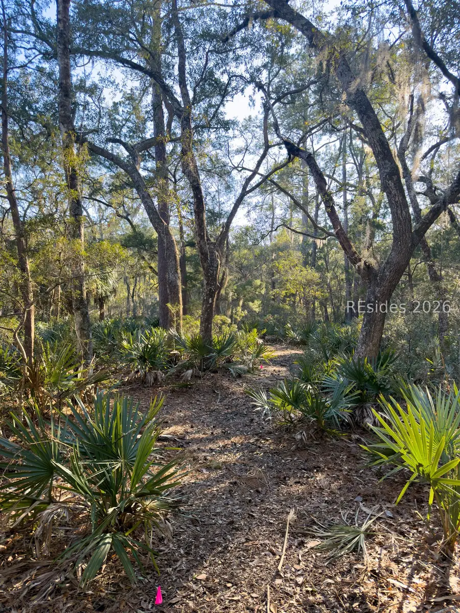 45 Huspah Court S, Seabrook, SC 29940 - #2