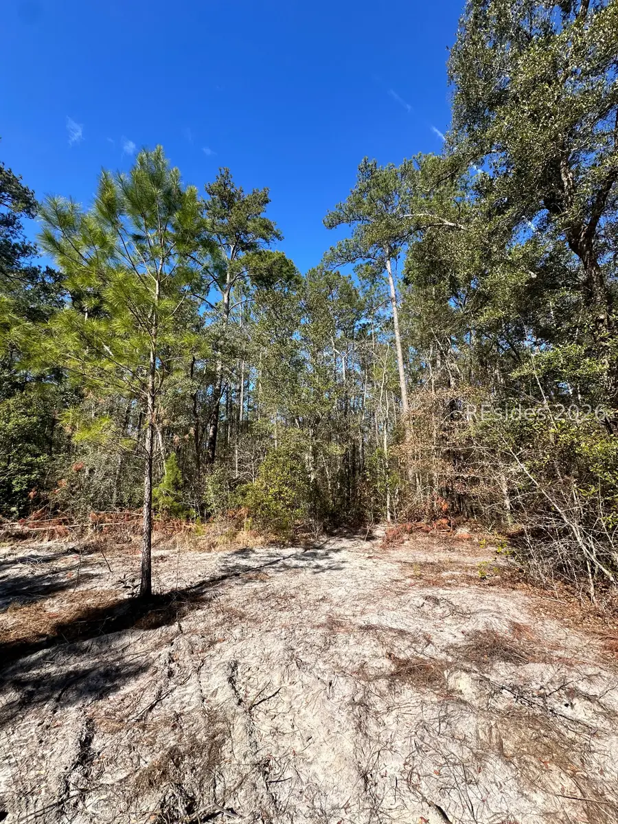 0 Spring Field Plantation Dr, Ridgeland, SC 29936 - Image #2