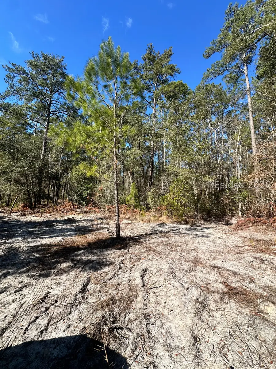 0 Spring Field Plantation Dr, Ridgeland, SC 29936 - Image #3