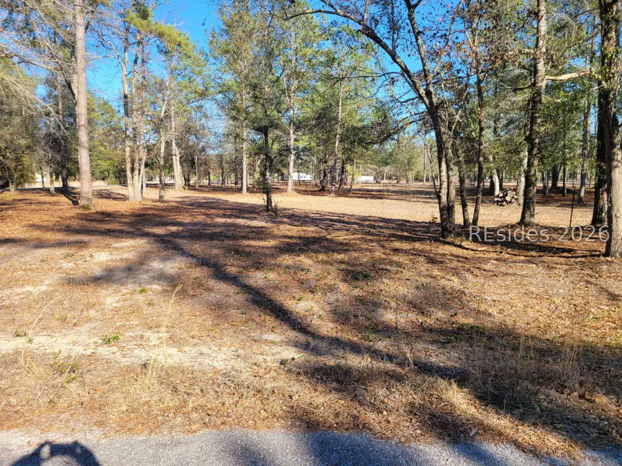TBD Beaver Dam Creek Road, Ridgeland, SC 29936 - #2