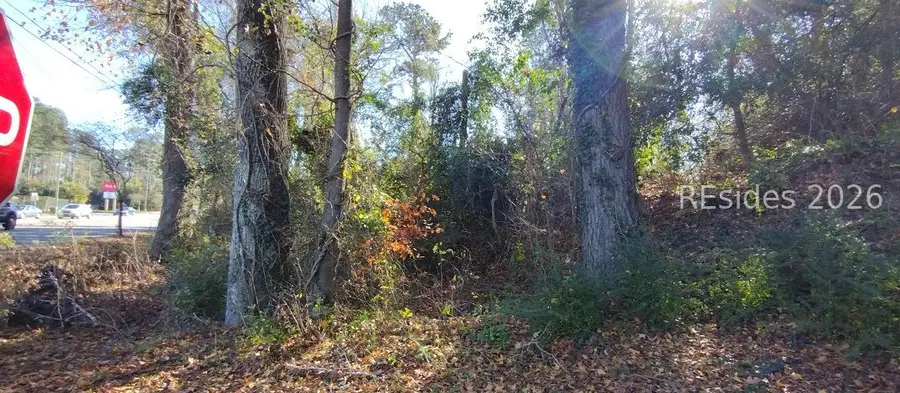 2359 Broughton Street, Orangeburg, SC 29115 - #2