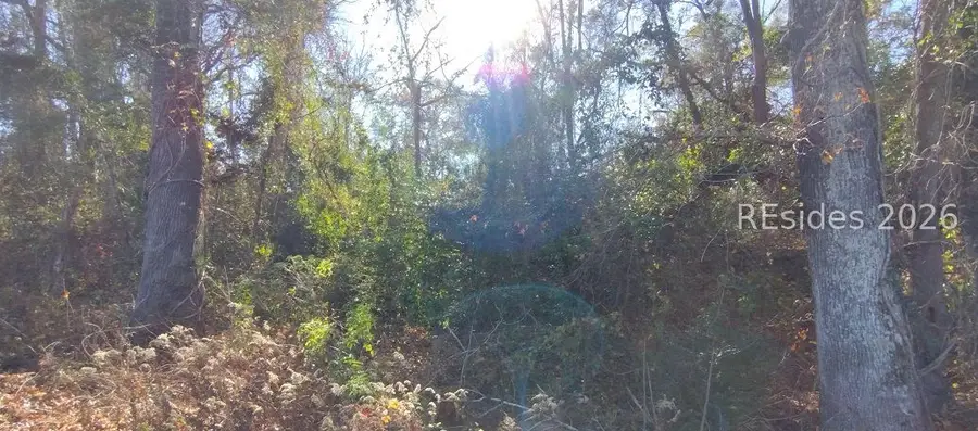 2359 Broughton Street, Orangeburg, SC 29115 - #3