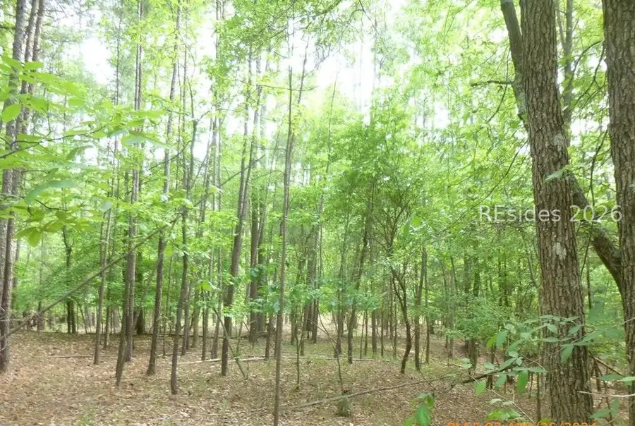 Lot 8 Block 15 Colleen Port, McCormick, SC 29835 - #3