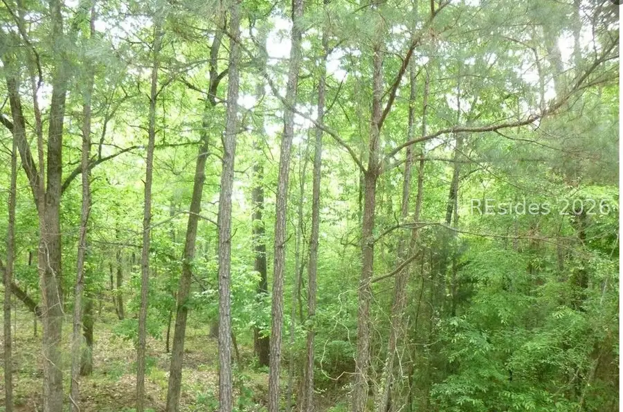 Lot 2 Block 6 Bereau Drive, McCormick, SC 29835 - #2