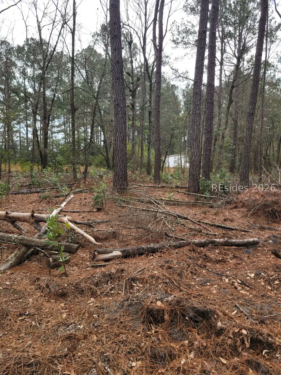 TBD Langfordville, Ridgeland, SC 29936 - #2