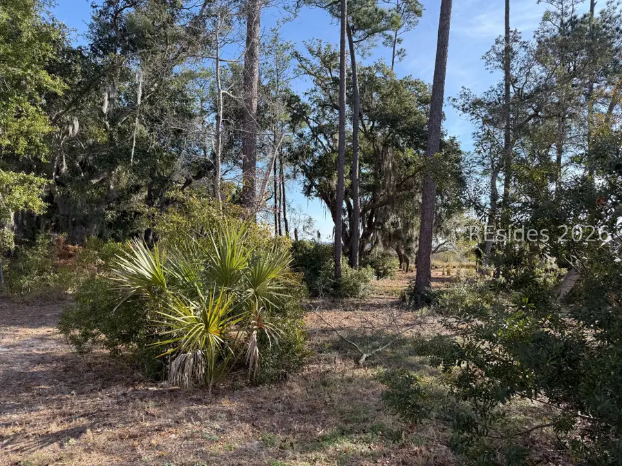 1 Shallow Run Lane, Beaufort, SC 29907 - #2