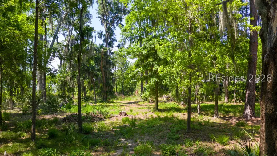68A Carvin Road, Daufuskie Island, SC 29915 - #3