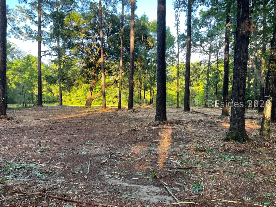 125 Heyward Point Road, Okatie, SC 29909 - #2