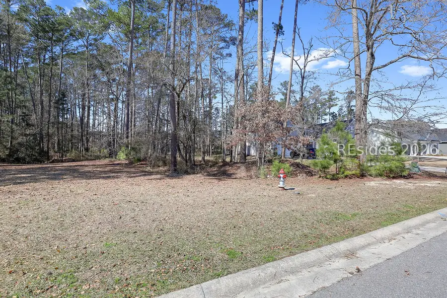 188 Firethorn Lane, Hardeeville, SC 29927 - #3