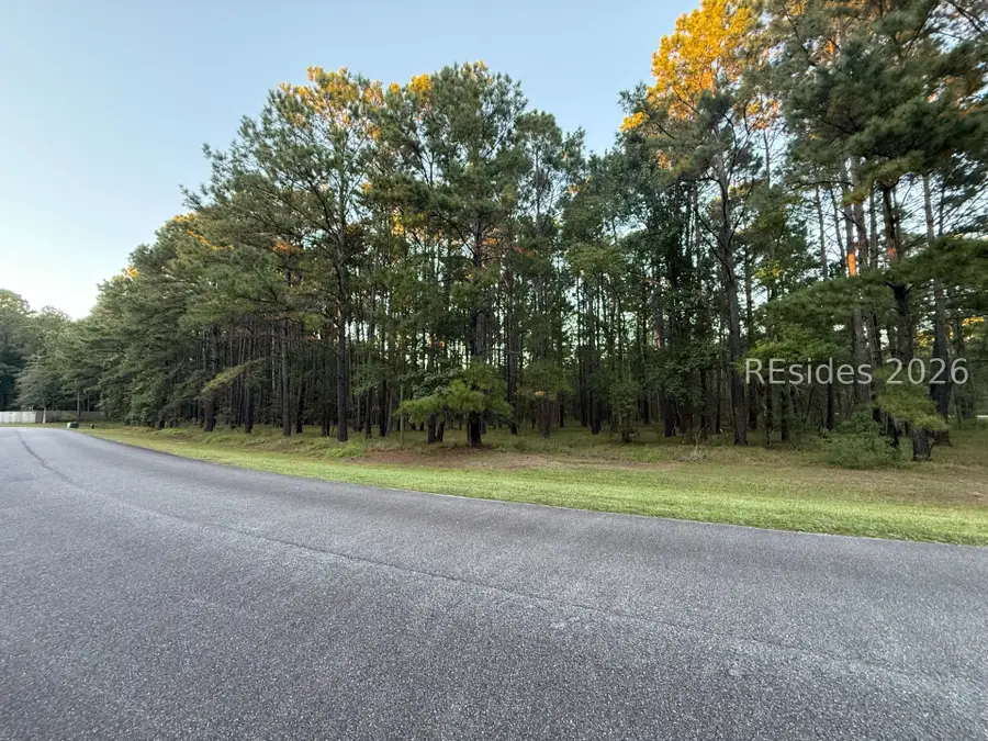 1641 Telfair Plantation Drive, Hardeeville, SC 29927 - #3