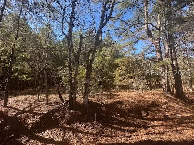 585 Bailey Mill Road, Ridgeland, SC 29936 - #3